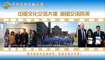 融匯中西，傳遞友誼——第五屆中國文化交流大使選拔活動組織策劃文化藝術交流活動紀實